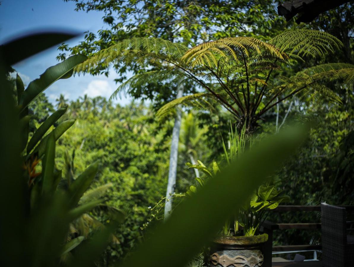 Angsoka Bungalow Ubud  Exterior photo